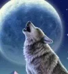 howling-wolf-small-jpg.webp