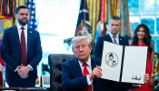 Trump-Muetter-Terrorvereinigung.webp