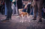 L1005622-Edit.webp
