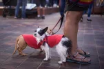 L1005711 - Copy.webp
