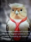 DNKevO1Mc6eICSd3f&_nc_zt=23&_nc_ht=scontent-dus1-1.webp
