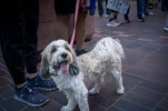 L1006022.webp