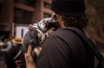 L1006425.webp