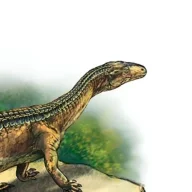 archosaur