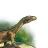 archosaur